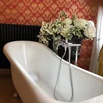ベッド・アンド・ブレックファスト Nest Versailles - Unique Louis Xiv Decoration - Calm Location Right In Center ナミュール